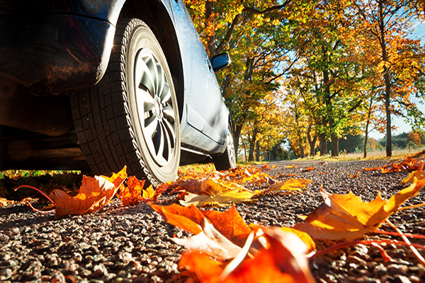 Decálogo para un correcto mantenimiento del vehículo en otoño